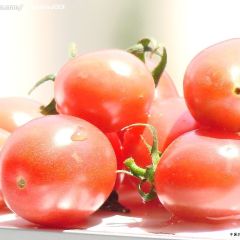 山西应县无公害蔬菜基地