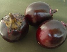 西安桑农种业早紫丸—茄子种子