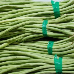 潍坊昌乐有机蔬菜长豆角
