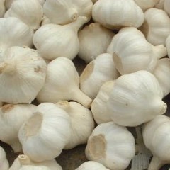 山东大蒜产区9月22日价格行情，看跌