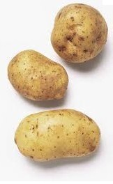 内蒙乌兰察布土豆9月22日傍晚价格行情，0.45-0.6元/斤