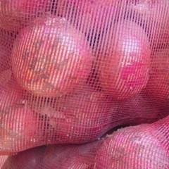 甘肃民勤县出售红黄洋葱