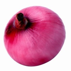  甘肃酒泉9月23日洋葱价格行情，180元/吨起