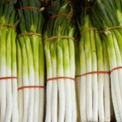 牡丹江章丘大葱今日价格：0.4元/斤