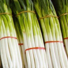 章丘市兴盛大葱专业合作社