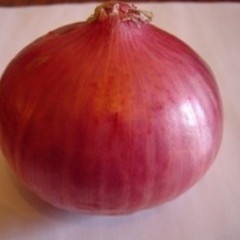 枣庄出售1000吨自存红皮洋葱价格随行就市