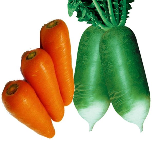 供应:开封青萝卜,胡萝卜现已大量采摘上市