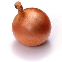 2011.10月17日甘肃民勤洋葱价格行情