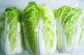 2011.10月17日河南通许大白菜价格：0.25-0.28元/斤	