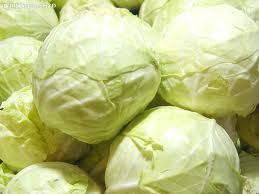 2011.10月18日河南新野包菜价格：0.3元/斤