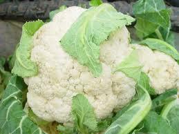 河北菜花价格：0.32元/斤，莴苣价格：0.3元/斤