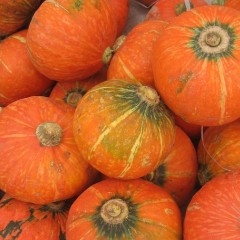 2011.10月19日山东青州大棚蔬菜价格行情