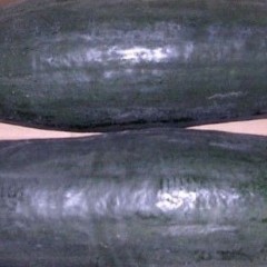 湖北嘉鱼黑皮冬瓜、蜜本南瓜等蔬菜上市