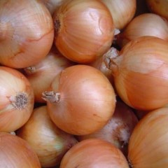 常年供应各种瓜果蔬菜