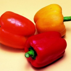 2011.10月24日山东青州辣椒,圆椒价格