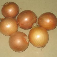 江苏徐州丰县现有大量洋葱出售