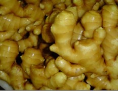 山东安丘市生姜，大葱，大蒜