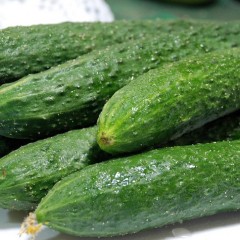 河南焦作优质无公害黄瓜，价廉物美