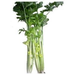 11月3日山东聊城东昌各种新鲜蔬菜价格行情