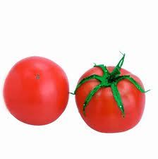 云南大量优质西红柿已成熟上市，品质好