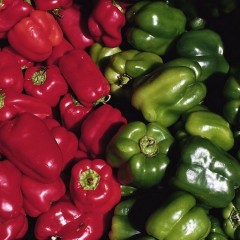 11月10日山东青州各类新鲜蔬菜价格行情