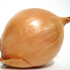 民勤出售优质红皮、黄皮洋葱。量大质优