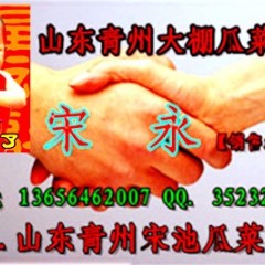 11月22日山东青州各类新鲜蔬菜价格行情