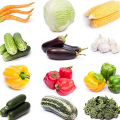 11月26日山东青州各类新鲜蔬菜价格行情