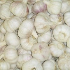 蒜农之家供应优质大蒜，品质保证