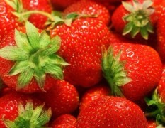 我家草莓个头适中，色泽鲜亮，闻起来很香，吃起来很甜!