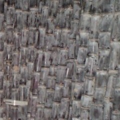 玉林黑皮甘蔗节长粗壮.笔直均匀