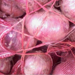 民勤：本人经营洋葱多年、经验丰富