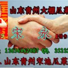 12月12日山东青州大棚辣椒价格行情