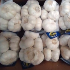 长期加工供应大蒜