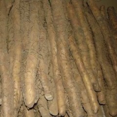 百亩窖藏优质山药上市了。