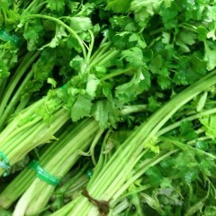 欢迎各界来有大量时令蔬菜瓜果　3万亩