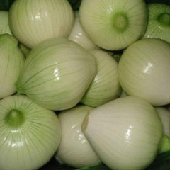 甘肃嘉峪关有.红.黄.白.洋葱已上市，品种全