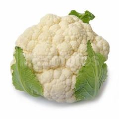 邯郸出售400000斤花菜，需要的联系