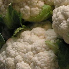 出售400000斤优质库存花菜