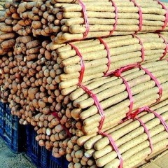 菏泽单县出售优质山药