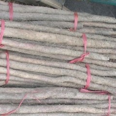 大量九斤黄山药急于出售，质优价廉