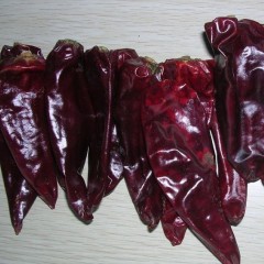 诚招美国红干辣椒收购商