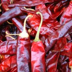 2月21日甘肃各地干辣椒价格行情