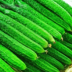 寿光鲜花黄瓜