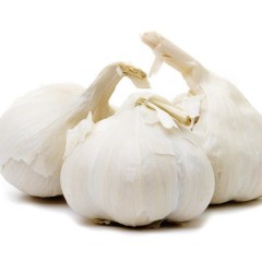 2月28日山东金乡/河南杞县大蒜价格行情