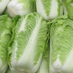 2月28日河南通许县/夏邑县大白菜价格行情