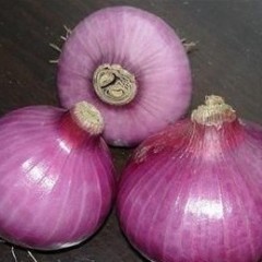 大量洋葱上市，量大质优