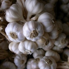 本人长期代收大蒜,蒜薹等产品