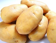 华县永康蔬菜专业合作社出售土豆