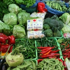 江苏台东/山东寿光/河北乐亭蔬菜价格